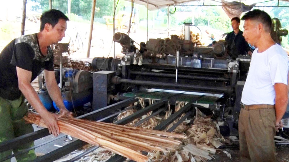 Thu tiền tỷ từ chế biến gỗ - Ảnh 1.