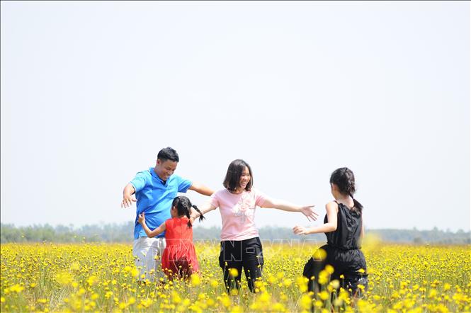 Khu Du lịch Tràm Chim mở tour tham quan hoa Hoàng Đầu Ấn - Ảnh 1.