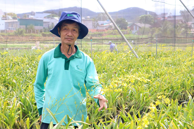 Lâm Đồng: Trồng loài lan yêu kiều, tượng trưng cho tình yêu thầm kín, lão nông lãi 2 tỷ đồng/năm - Ảnh 1.