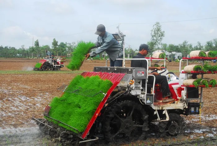 Ứng dụng công nghệ cao vào sản xuất lúa - Ảnh 1.