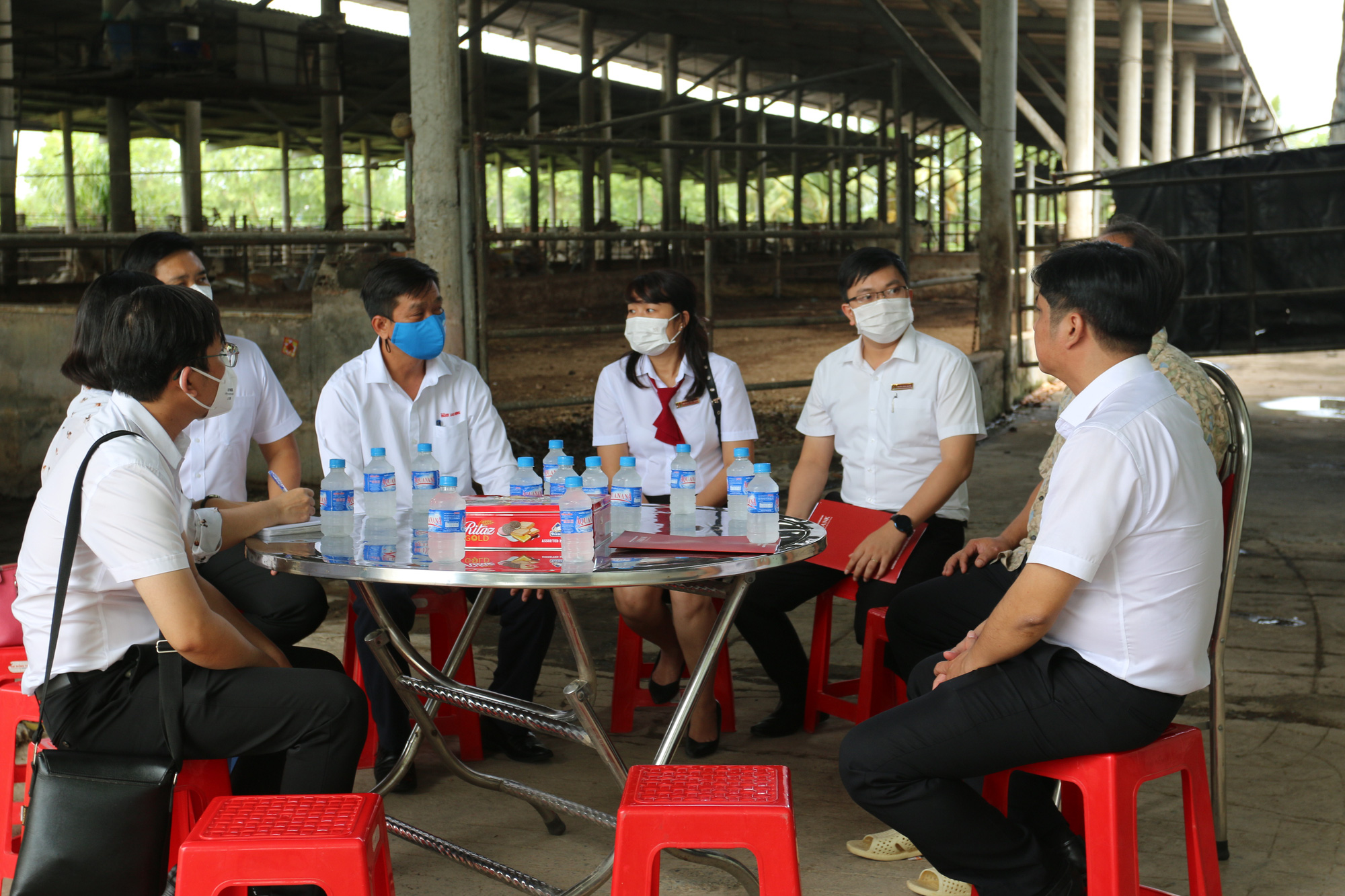 Agribank đồng hành cùng người dân nuôi bò tại huyện Đức Hòa, tỉnh Long An - Ảnh 4. Agribank đồng hành cùng người dân nuôi bò tại huyện Đức Hòa, tỉnh Long An - Ảnh 4.