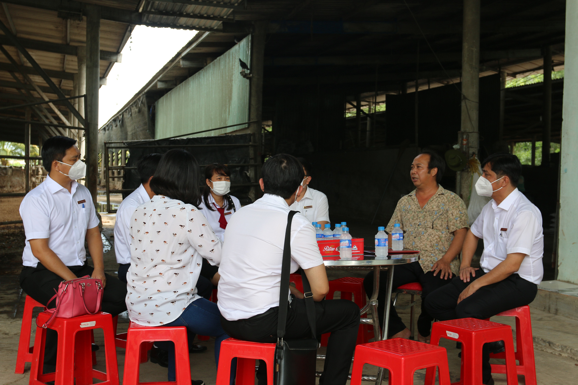 Agribank đồng hành cùng người dân nuôi bò tại huyện Đức Hòa, tỉnh Long An - Ảnh 3. Agribank đồng hành cùng người dân nuôi bò tại huyện Đức Hòa, tỉnh Long An - Ảnh 3.