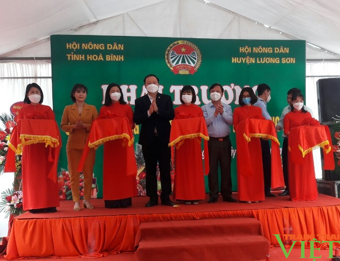 Hội Nông dân Lương Sơn: Khai trương cửa hàng nông sản an toàn tới người tiêu dùng - Ảnh 2. Hội Nông dân Lương Sơn: Khai trương cửa hàng nông sản an toàn tới người tiêu dùng - Ảnh 2.