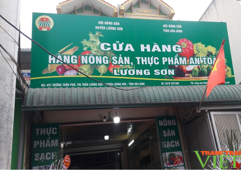 Hội Nông dân Lương Sơn: Khai trương cửa hàng nông sản an toàn tới người tiêu dùng - Ảnh 3. Hội Nông dân Lương Sơn: Khai trương cửa hàng nông sản an toàn tới người tiêu dùng - Ảnh 3.