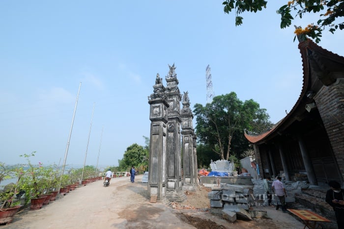 Vụ lộ nhiều sai phạm sau chặt cây đa ở đình Chèm cổ: Có thể bị xử phạt lên đến 40 triệu đồng - Ảnh 7.