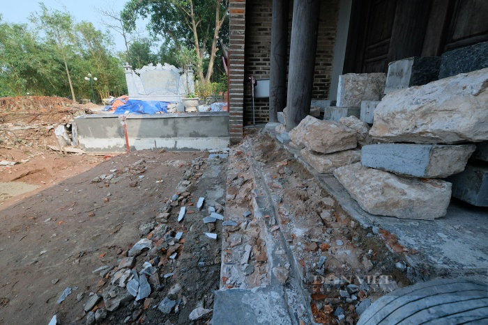 Vụ lộ nhiều sai phạm sau chặt cây đa ở đình Chèm cổ: Có thể bị xử phạt lên đến 40 triệu đồng - Ảnh 5.