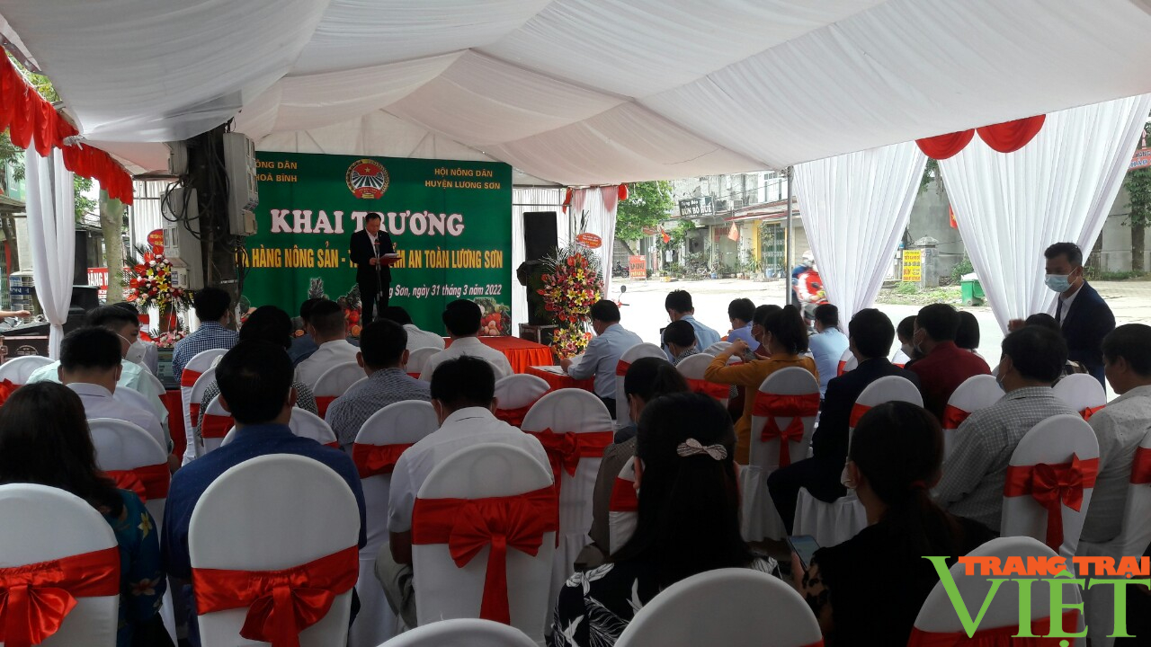 Hội Nông dân Lương Sơn: Khai trương cửa hàng nông sản an toàn tới người tiêu dùng - Ảnh 1. Hội Nông dân Lương Sơn: Khai trương cửa hàng nông sản an toàn tới người tiêu dùng - Ảnh 1.