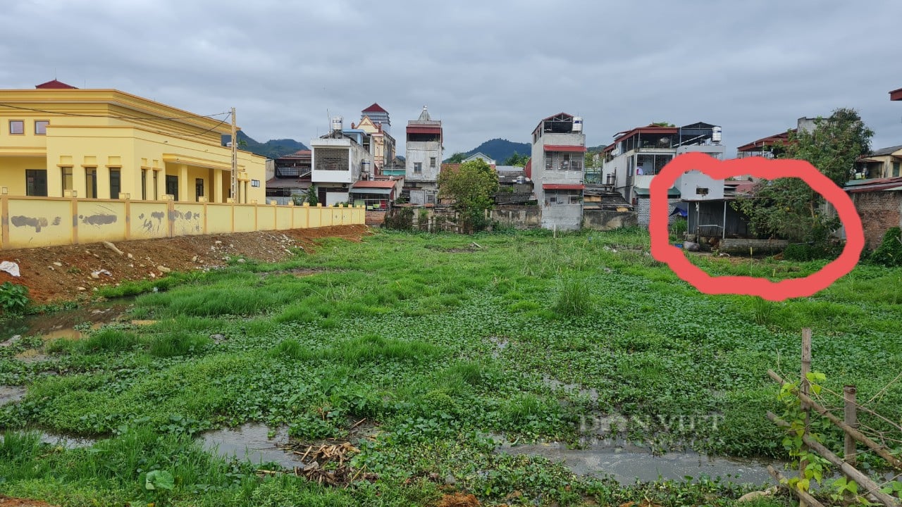 Yên Bái: Chăn nuôi, giết mổ gia súc gây ô nhiễm nghiêm trọng giữa lòng thị xã du lịch - Ảnh 1.