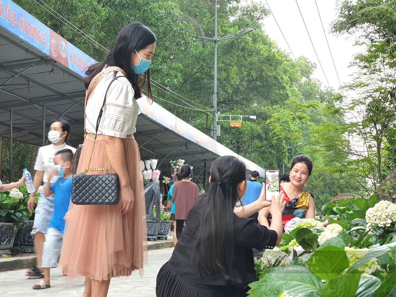 Khách du lịch đổ xô đến check-in tại đường hoa Lễ hội tình yêu Hòn Trống Mái  - Ảnh 8.
