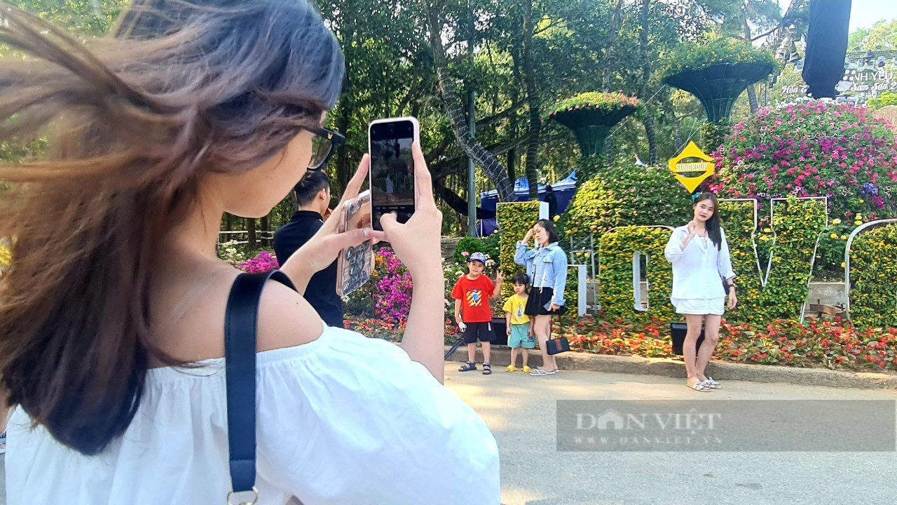 Khách du lịch đổ xô đến check-in tại đường hoa Lễ hội tình yêu Hòn Trống Mái  - Ảnh 4.