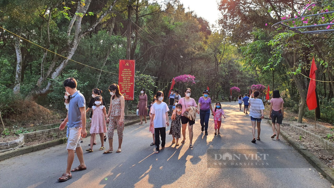 Khách du lịch đổ xô đến check-in tại đường hoa Lễ hội tình yêu Hòn Trống Mái  - Ảnh 1.
