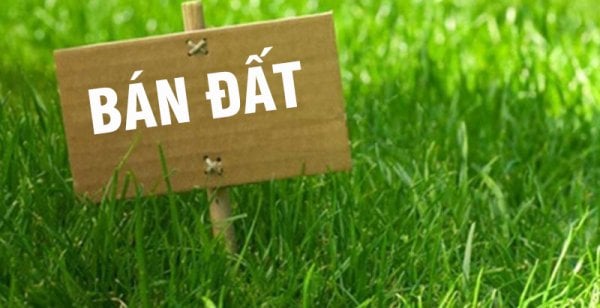 ban-dat-co-can-chu-ky-cua-con.jpg