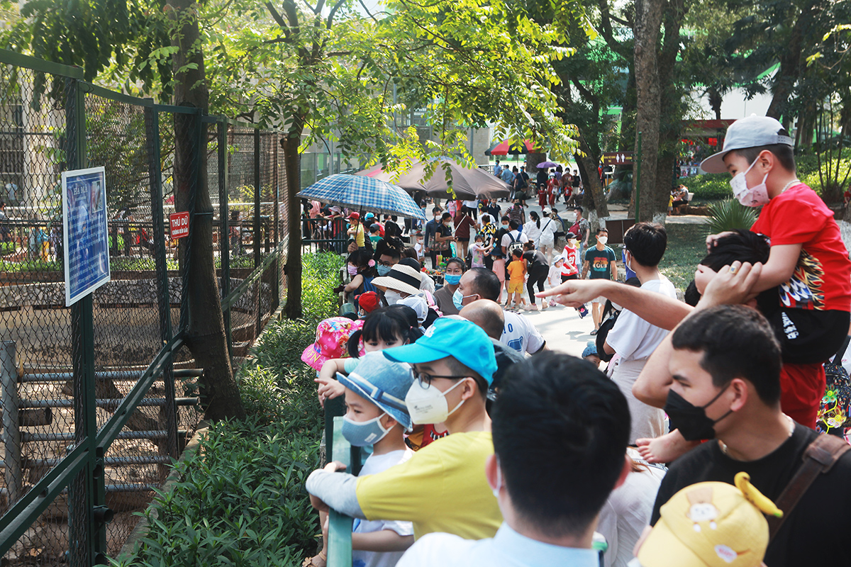50.000 du khách đến Vườn thú Hà Nội trong ngày Giỗ Tổ Hùng Vương - Ảnh 2.