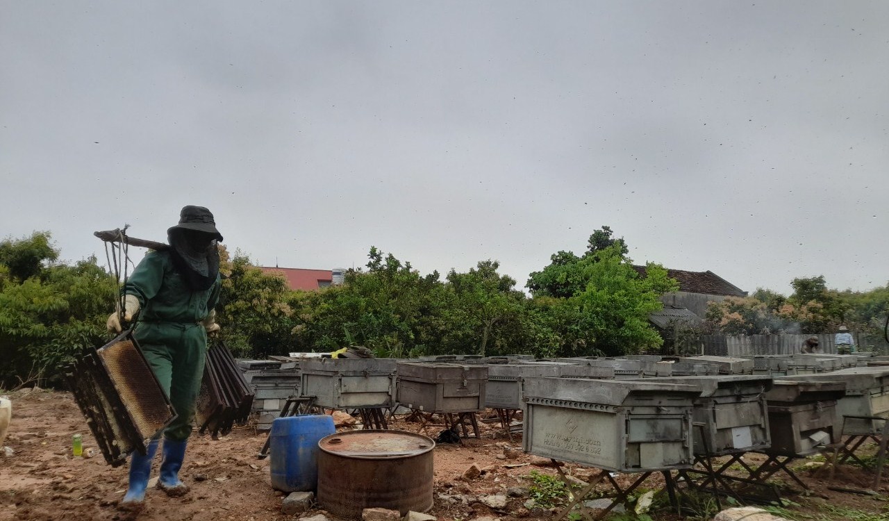 Nghề này ăn bờ ngủ bụi, nay đây mai đó, hiểm nguy rình rập nhưng khéo làm thì mỗi năm có tiền tỷ - Ảnh 4.