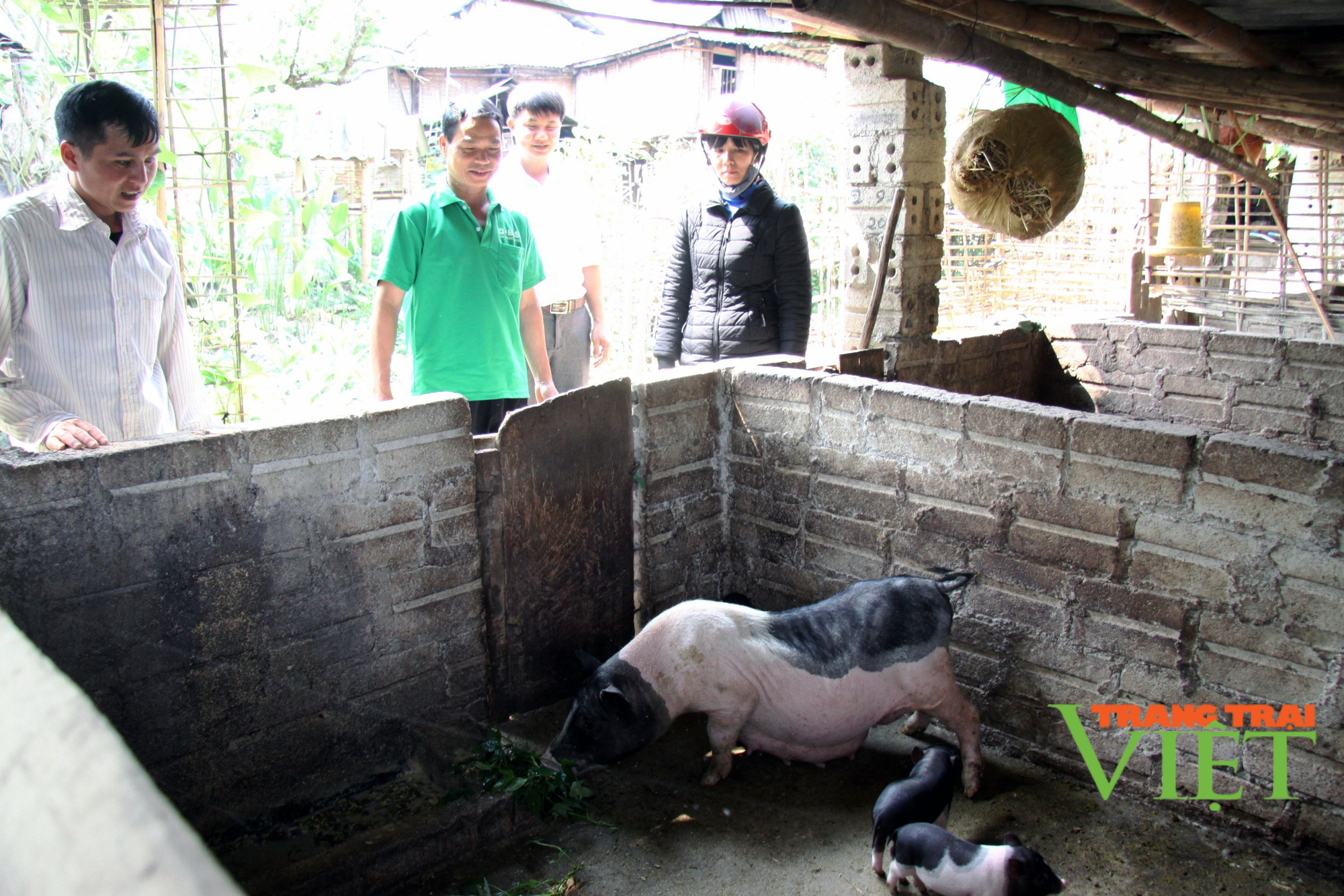 Phong trào thi đua sản xuất kinh doanh giỏi ở Mường Cang - Ảnh 3. Phong trào thi đua sản xuất kinh doanh giỏi ở Mường Cang - Ảnh 3.