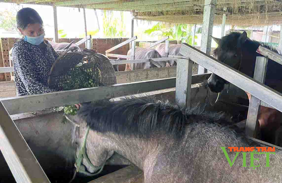 Phong trào thi đua sản xuất kinh doanh giỏi ở Mường Cang - Ảnh 2. Phong trào thi đua sản xuất kinh doanh giỏi ở Mường Cang - Ảnh 2.