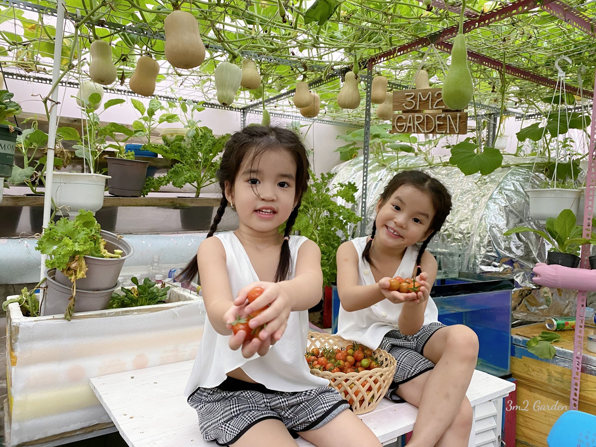 Mẹ đảm Sài Gòn &quot;mách nhỏ&quot; cách trồng bí bơ sai quả trĩu giàn - Ảnh 6.