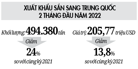 Nhà nông ngóng chờ giống sắn sạch bệnh - Ảnh 3. Nhà nông ngóng chờ giống sắn sạch bệnh - Ảnh 3.