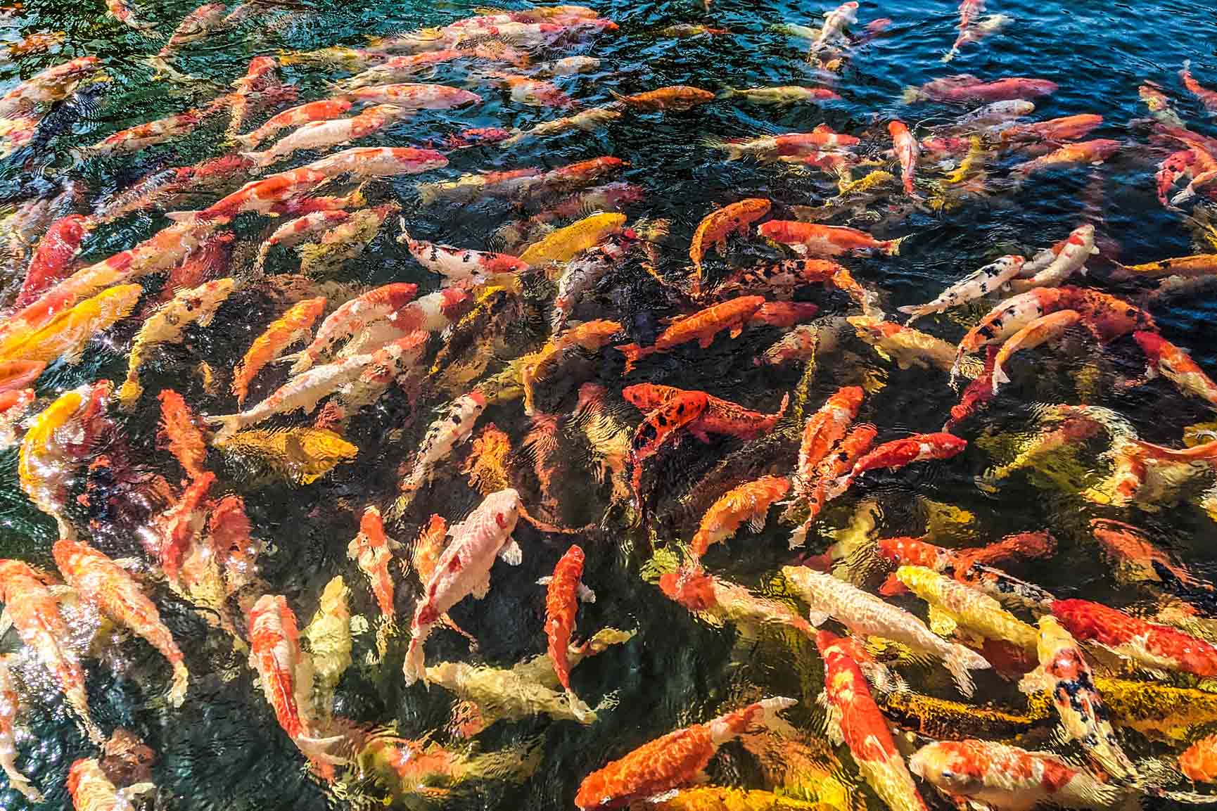 Hòn Thơm, thiên đường du lịch ngày hè - Ảnh 5.