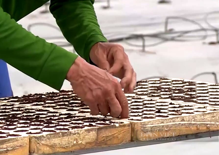 Mát tay mở trang trại khủng trồng “dưa vua” giữa “rốn phèn”, ông nông dân làm vụ nào thắng vụ đó - Ảnh 4.