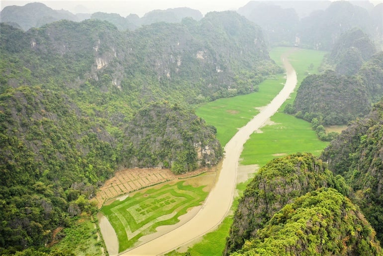 Cánh đồng lúa hình lá cờ hội khổng lồ  - Ảnh 1.