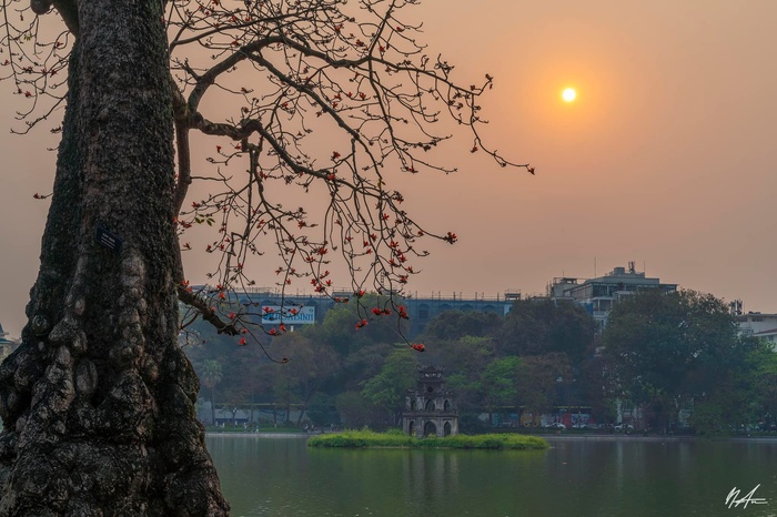 Những nhành hoa gạo bờ hồ  - Ảnh 11.