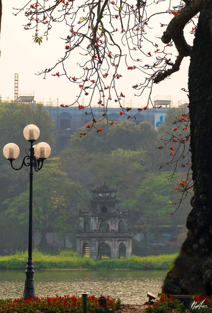 Những nhành hoa gạo bờ hồ  - Ảnh 9.