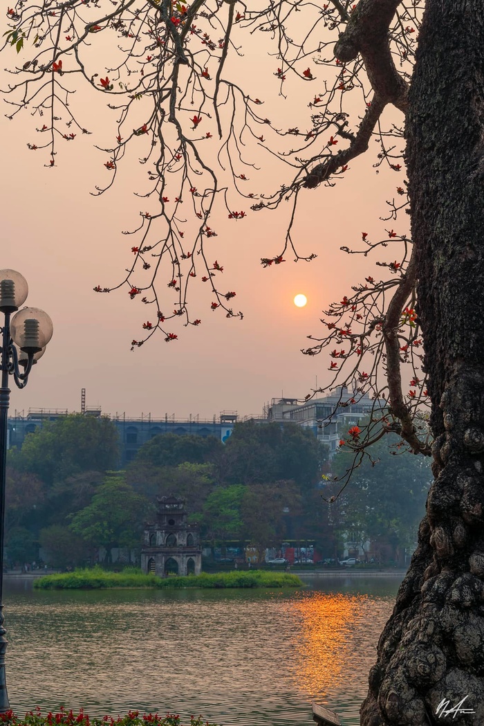 Những nhành hoa gạo bờ hồ  - Ảnh 5.
