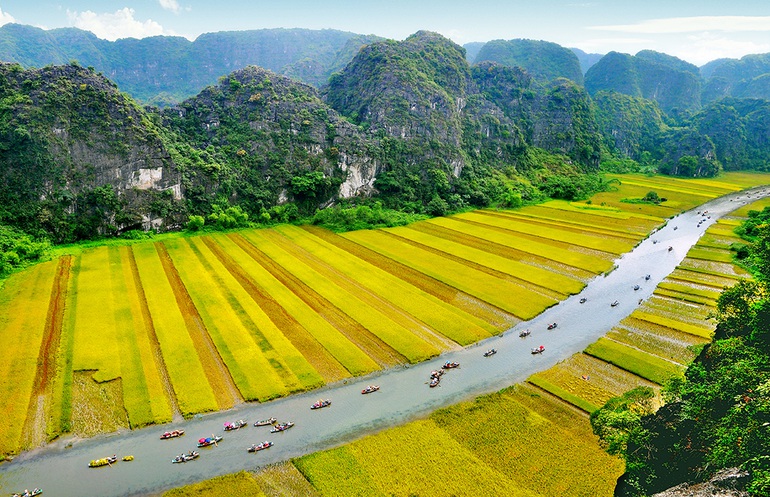 Cánh đồng lúa hình lá cờ hội khổng lồ  - Ảnh 8.