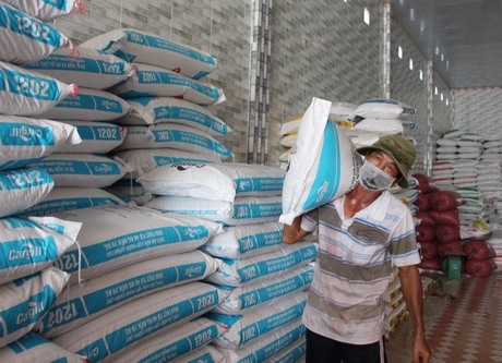 Giá thức ăn chăn nuôi tăng kiểu gì mà đến một bà nông dân Vĩnh Long nuôi có 170 con gà cũng lo ngay ngáy? - Ảnh 1. Giá thức ăn chăn nuôi tăng kiểu gì mà đến một bà nông dân Vĩnh Long nuôi có 170 con gà cũng lo ngay ngáy? - Ảnh 1.