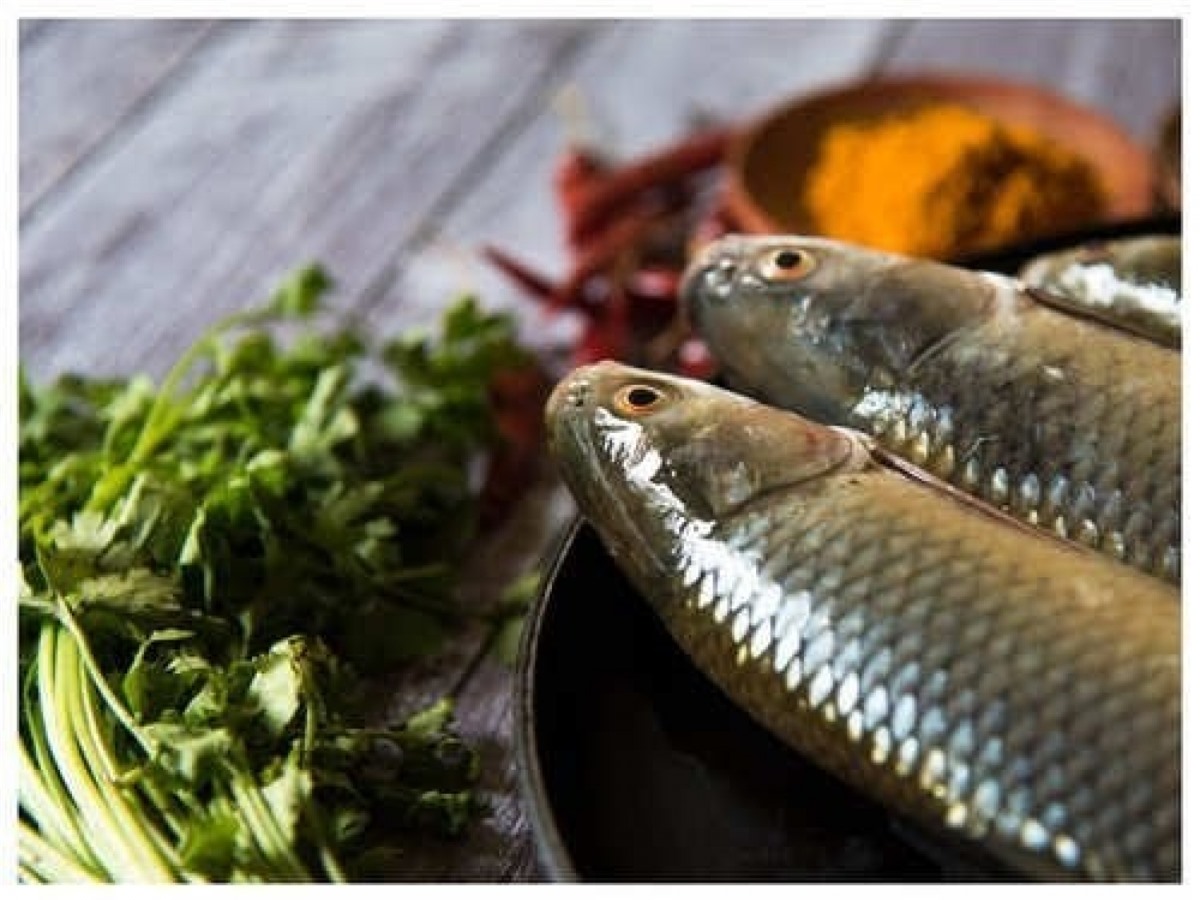 5 mẹo chọn cá tươi ngon - Ảnh 1.