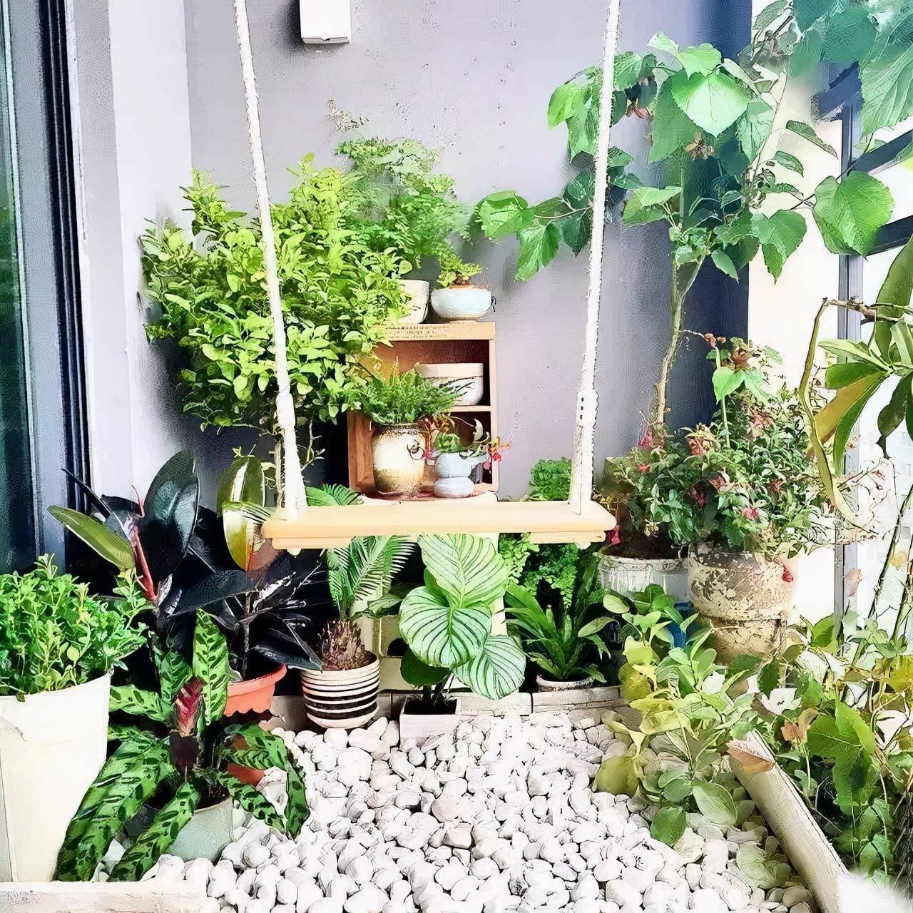&quot;Thiên đường&quot; tại gia, ban công không chỉ trồng cây cảnh mà có nhiều tác dụng không ngờ - Ảnh 3.