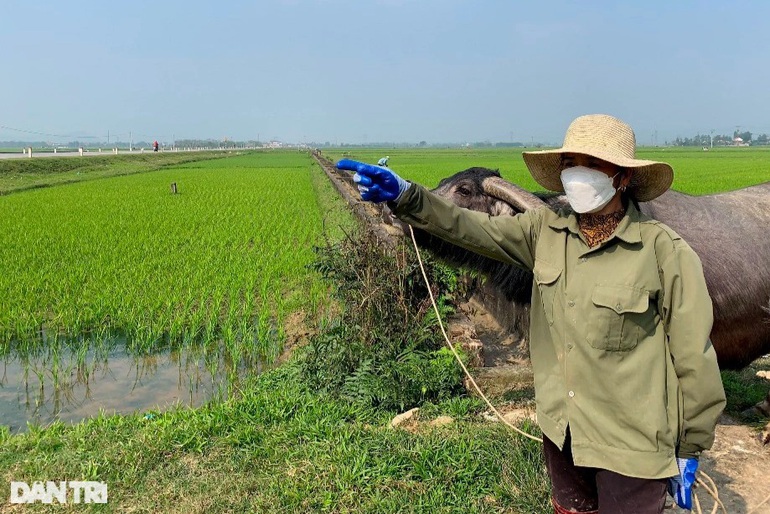 Chuyên gia cảnh báo &quot;dễ mua khó bán&quot; khi giá bất động sản tăng vù vù - Ảnh 1.