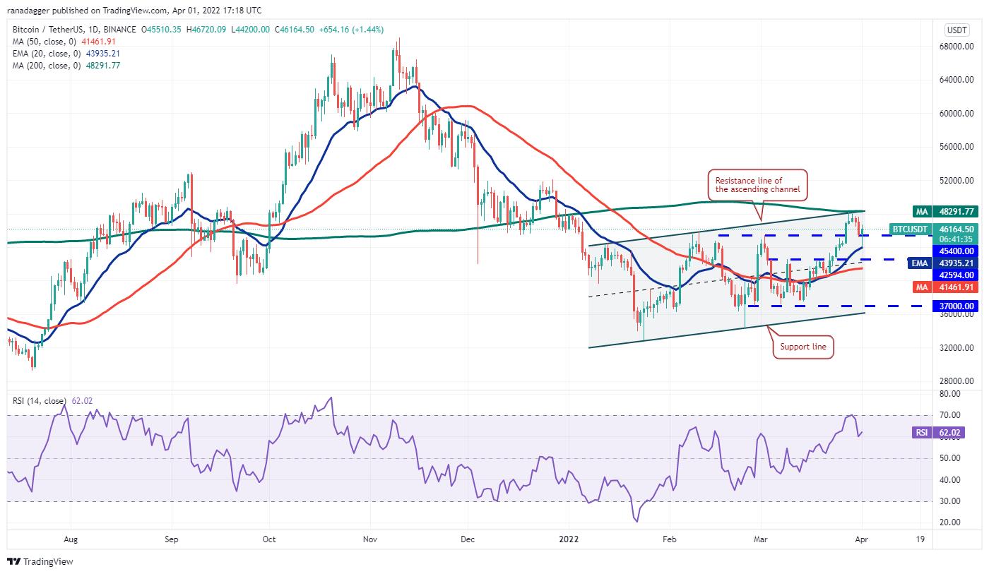 Giá Bitcoin hôm nay 2/4: Bitcoin biến động, thị trường ổn định - Ảnh 1.