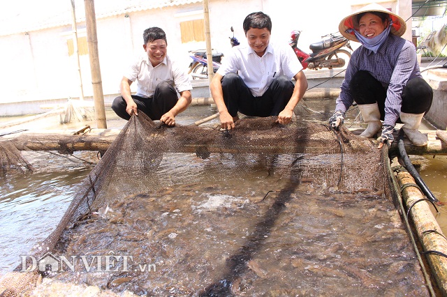 Nuôi trồng thủy sản ven biển bền vững: Vẫn &quot;nóng&quot; chuyện quy hoạch, hài hòa với môi trường - Ảnh 6.