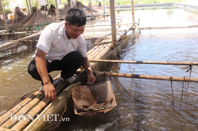 Phát triển nuôi trồng thủy sản ven biển bền vững: Thách thức và cơ hội - Ảnh 12.