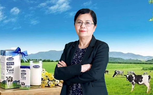 Chân dung nguyên Tổng thư ký Quốc hội vừa được giới thiệu làm thành viên độc lập Vinamilk - Ảnh 2.