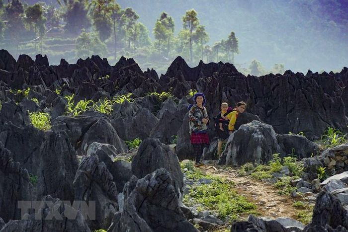 Vẻ đẹp hoang sơ của cao nguyên đá cổ Tả Phìn - Ảnh 8.