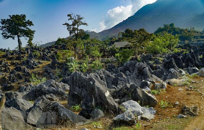 Vẻ đẹp hoang sơ của cao nguyên đá cổ Tả Phìn - Ảnh 1.