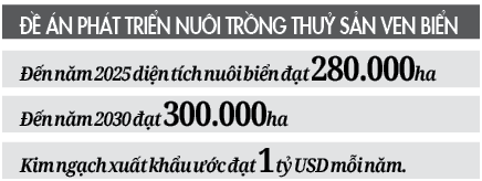 Phát triển nuôi trồng thủy sản ven biển bền vững: Cần quy hoạch cụ thể, hài hòa với  môi trường - Ảnh 4.