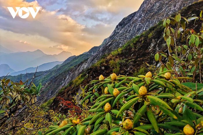 Đẹp ngỡ ngàng những đỉnh núi Lai Châu - Ảnh 11.
