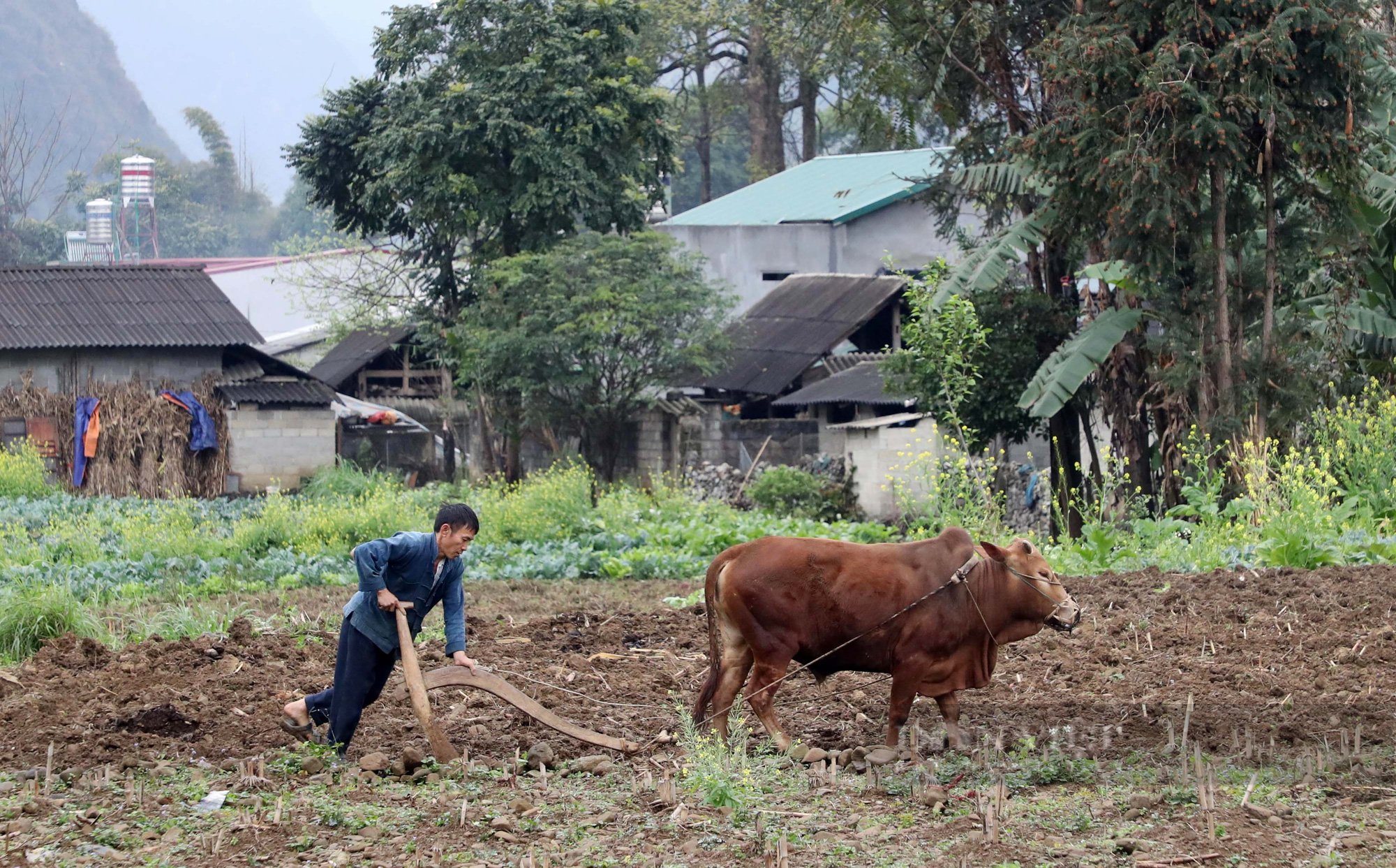 Làng đúc lưỡi cày Sủng Cáng trên cao nguyên đá - Ảnh 1.