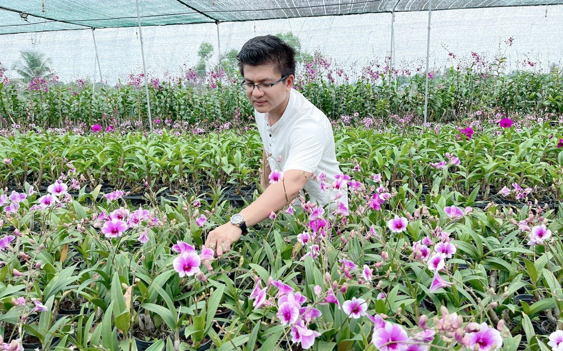 Trai Sài Gòn ăn nên làm ra nhờ thứ hoa lan này, bán cả chậu cũng tốt, cắt cành bán cũng nhanh