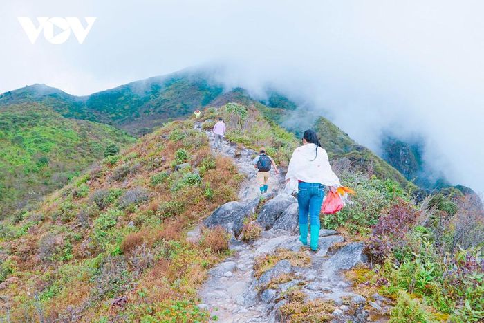 Đẹp ngỡ ngàng những đỉnh núi Lai Châu - Ảnh 3.