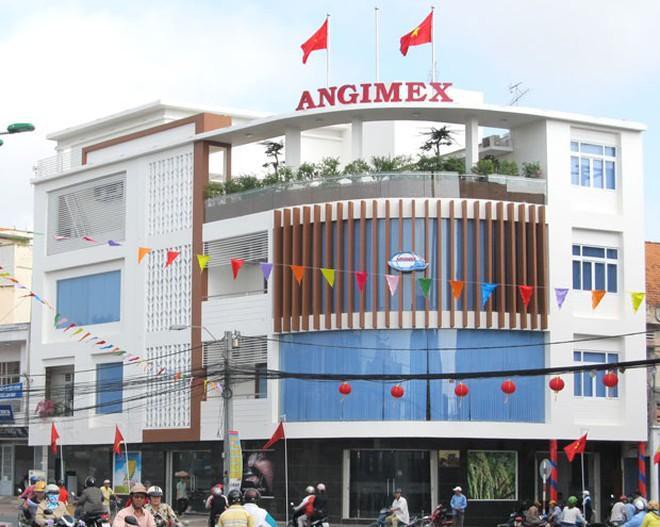 Chân dung tân Chủ tịch Angimex (AGM)  - Ảnh 1.