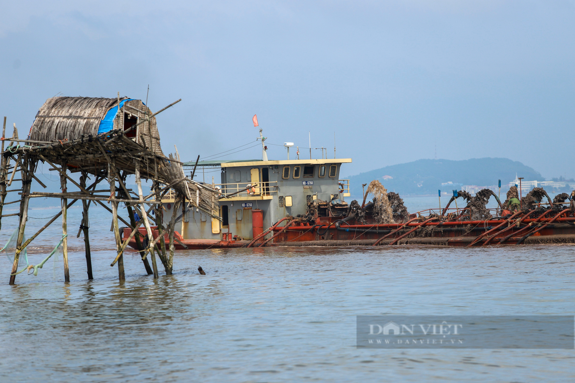 Tổng Cục trưởng Tổng cục Thuỷ sản: Đất nuôi ngao, hàu rất &quot;nóng&quot;, không khác đất thành phố - Ảnh 1.