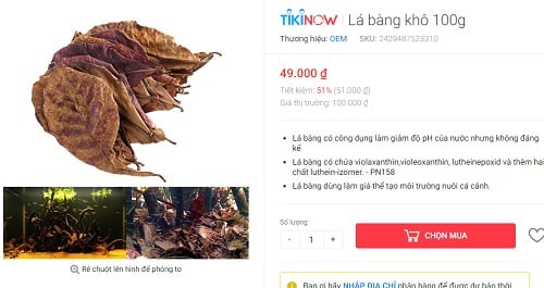 Loại lá xưa rụng đầy đường quét mỏi tay bất ngờ được bán tới hàng trăm nghìn đồng/kg phục vụ &quot;thượng đế&quot; - Ảnh 3.