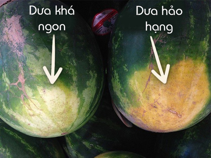 5 mẹo chọn dưa hấu vỏ mỏng, ngọt lịm, nhiều nước - Ảnh 3.