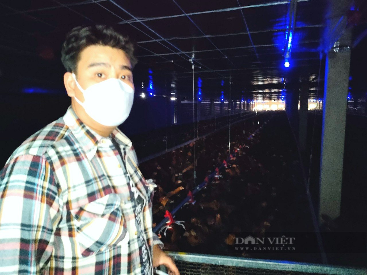 Nhận nuôi gà gia công cho công ty Japfa Comfeed Việt Nam, nhiều nông dân Ninh Thuận vỡ mộng - Ảnh 6.