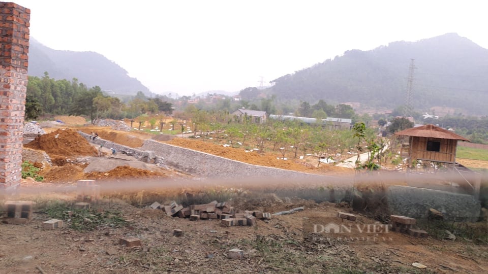 Giao dịch bất động sản bằng giấy viết tay, người mua có thể &quot;mất cả chì lẫn chài&quot; - Ảnh 2.